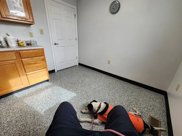 New Winchester Animal Clinic Picture 6