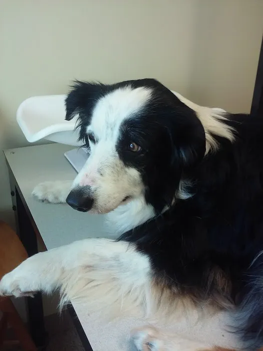New Winchester Animal Clinic Picture 10