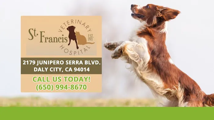 St. Francis Veterinary Hospital Picture 2