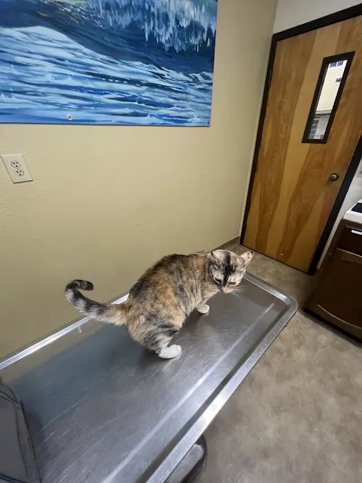 St. Francis Veterinary Hospital Picture 4