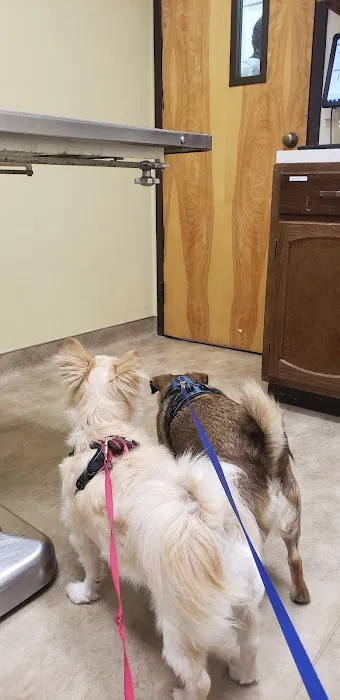 St. Francis Veterinary Hospital Picture 8