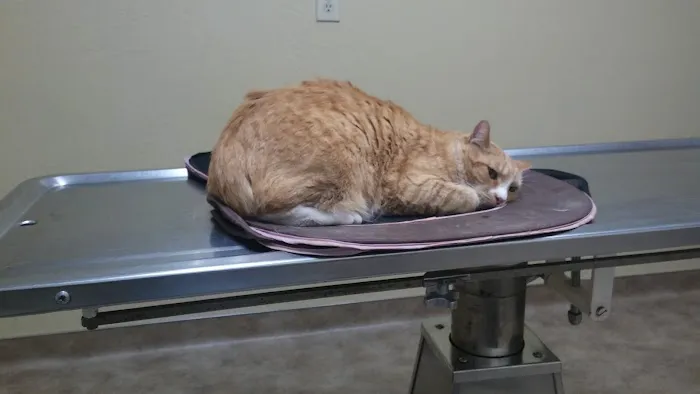 St. Francis Veterinary Hospital Picture 7