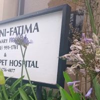 Fatima-Restani Veterinary Hospital ico