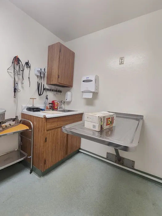 Fatima-Restani Veterinary Hospital Picture 4