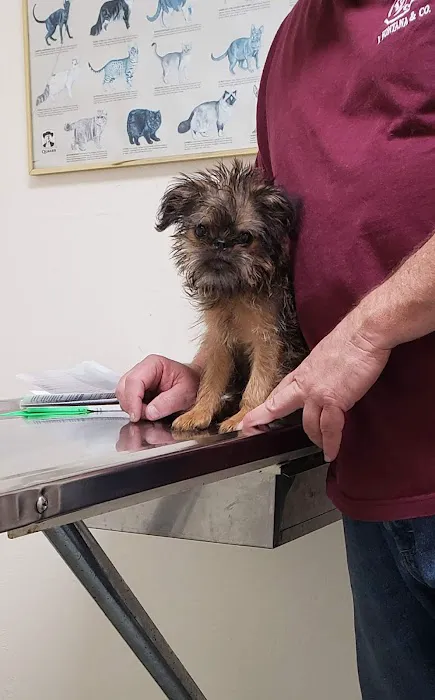 Fatima-Restani Veterinary Hospital Picture 6