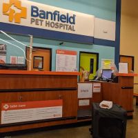 Banfield Pet Hospital ico