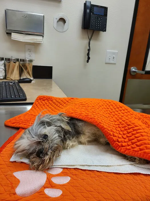 Banfield Pet Hospital Picture 6