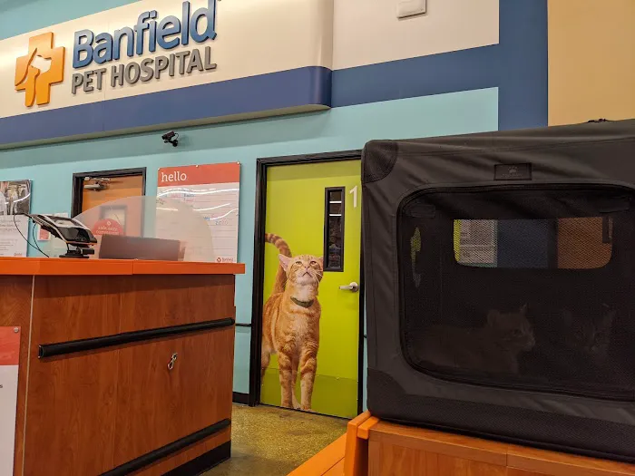 Banfield Pet Hospital Picture 5