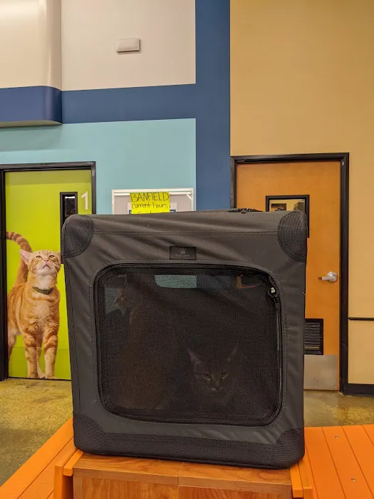 Banfield Pet Hospital Picture 8