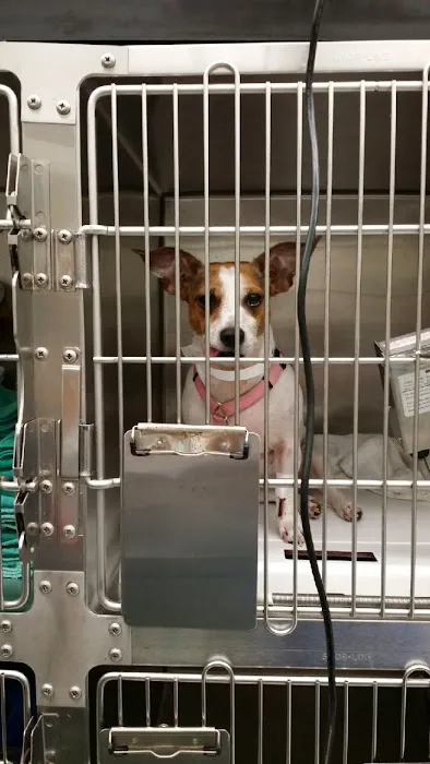 Banfield Pet Hospital Picture 10