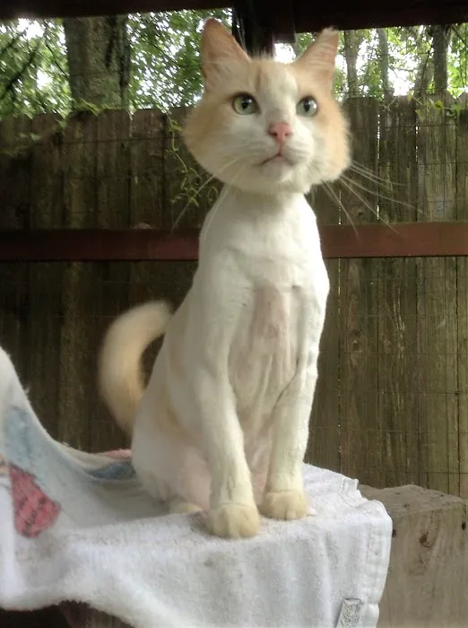 Hickory Knoll Veterinary Hospital Picture 1