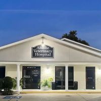 Abadie Veterinary Hospital ico