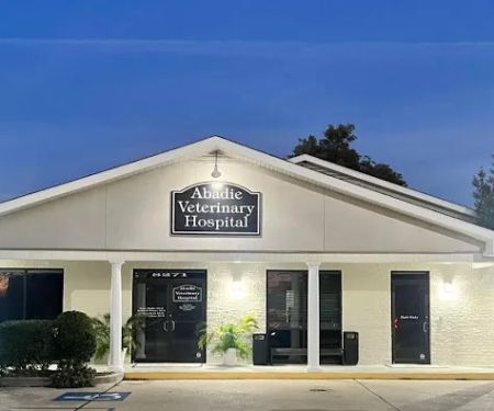 Abadie Veterinary Hospital