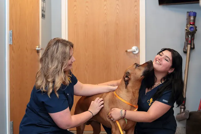 Clearview Veterinary Hospital Picture 5