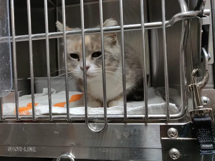 PAWS Chicago Medical Center & Lurie Clinic Picture 1