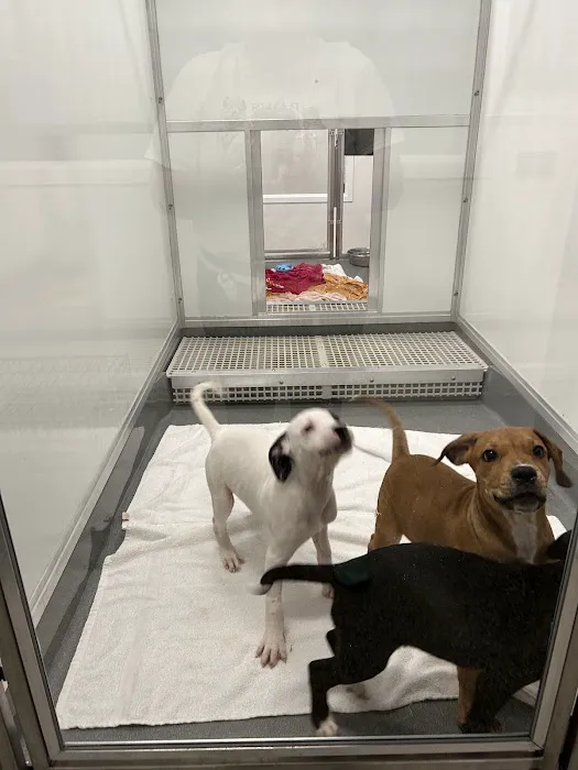 PAWS Chicago Medical Center & Lurie Clinic Picture 7