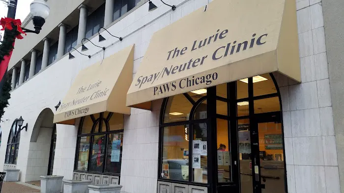 PAWS Chicago Medical Center & Lurie Clinic Picture 10