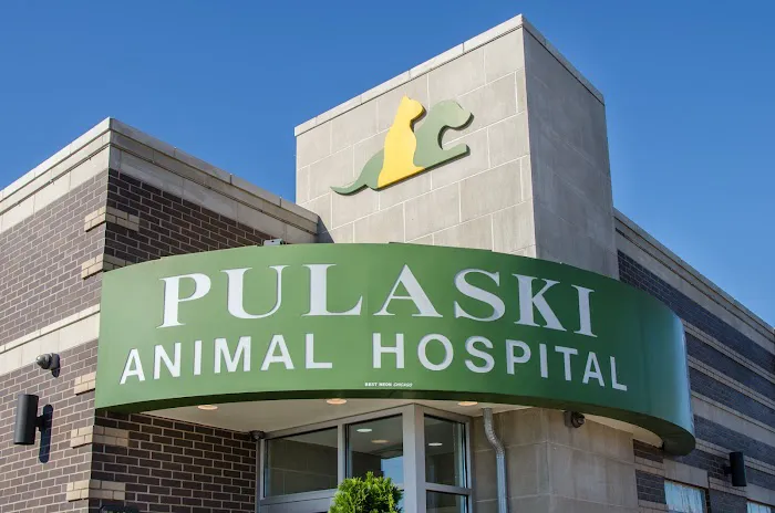 Pulaski Animal Hospital Picture 2