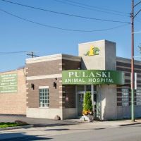 Pulaski Animal Hospital ico
