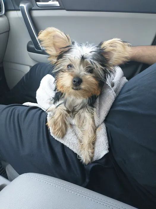 Marquette Animal Hospital Picture 4