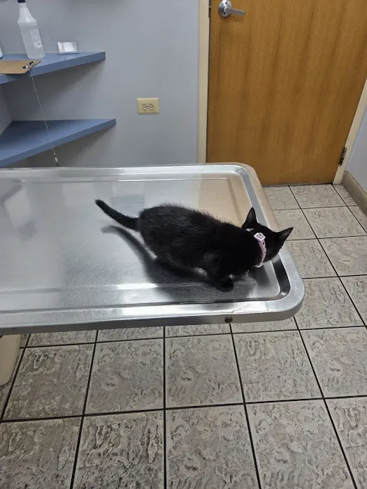 Marquette Animal Hospital Picture 6