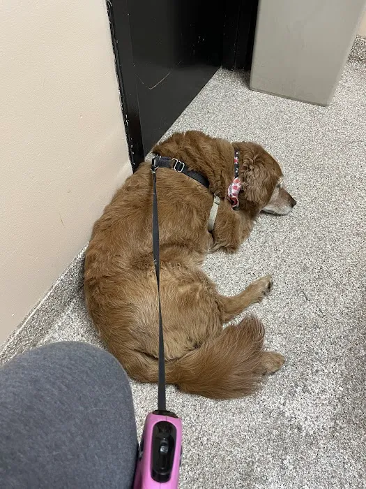 McKillip Animal Hospital Picture 1