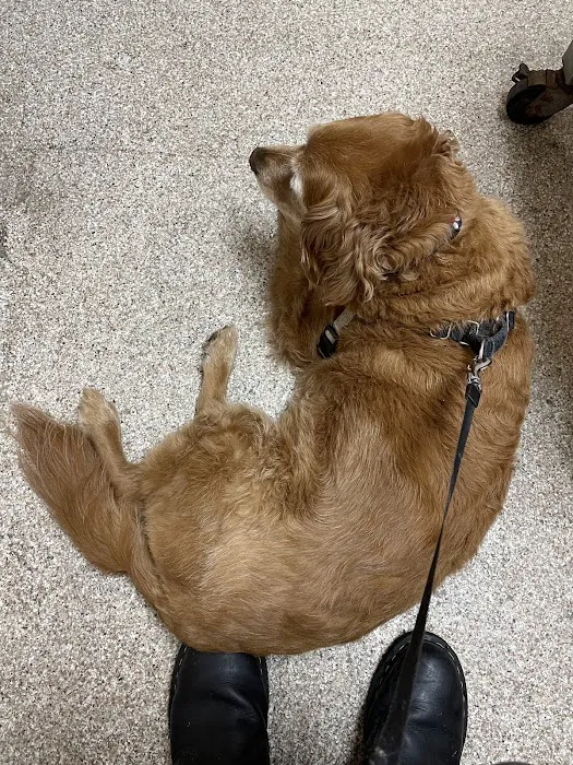 McKillip Animal Hospital Picture 4