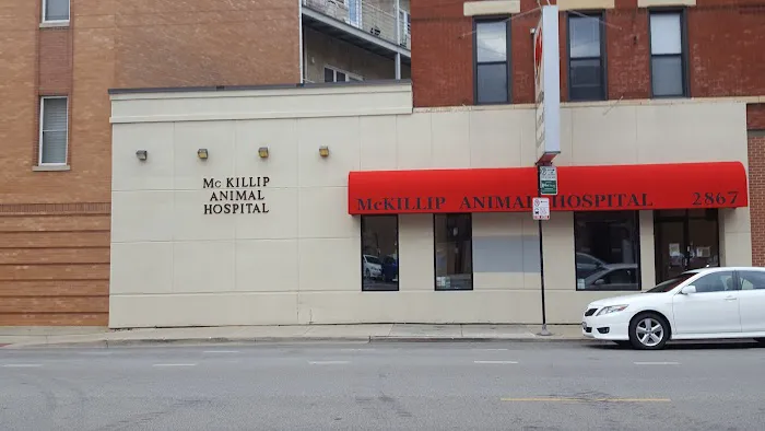 McKillip Animal Hospital Picture 10