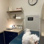 Bond Vet - Lakeview
