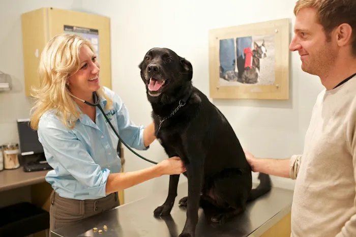 Your Pets Wellness (Bucktown), A Thrive Pet Healthcare Partner Picture 1