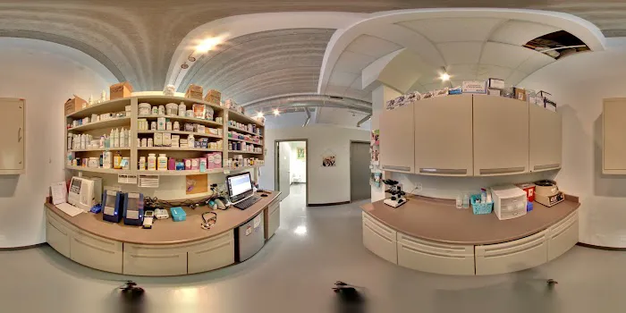 Your Pets Wellness (Bucktown), A Thrive Pet Healthcare Partner Picture 3