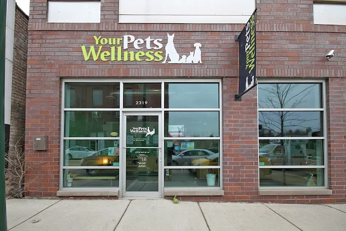 Your Pets Wellness (Bucktown), A Thrive Pet Healthcare Partner Picture 4