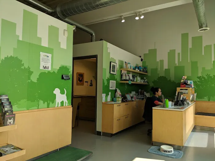 Your Pets Wellness (Bucktown), A Thrive Pet Healthcare Partner Picture 8