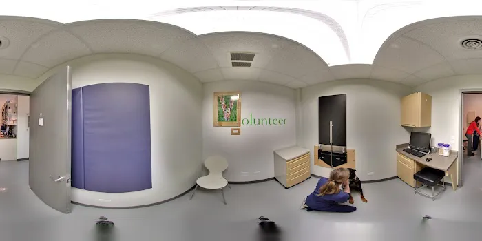 Your Pets Wellness (Bucktown), A Thrive Pet Healthcare Partner Picture 10
