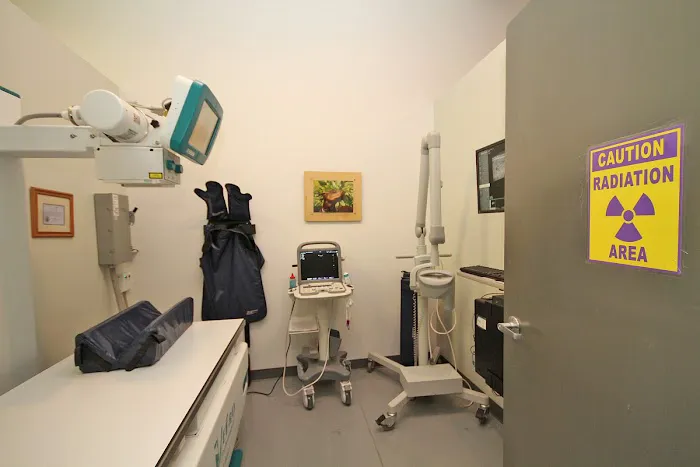 Your Pets Wellness (Bucktown), A Thrive Pet Healthcare Partner Picture 9