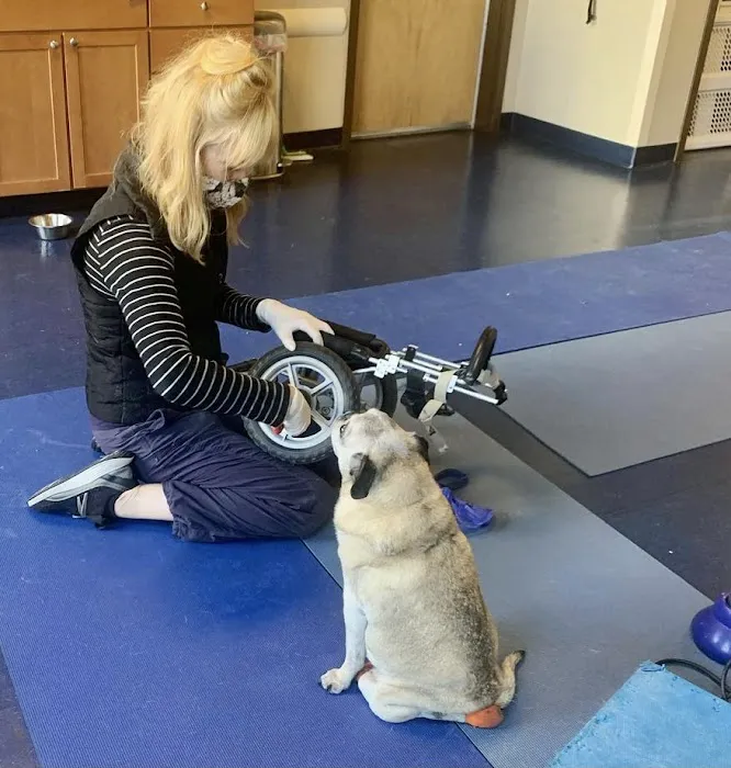 Integrative Pet Care Picture 2