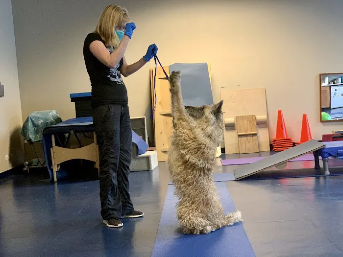 Integrative Pet Care Picture 6