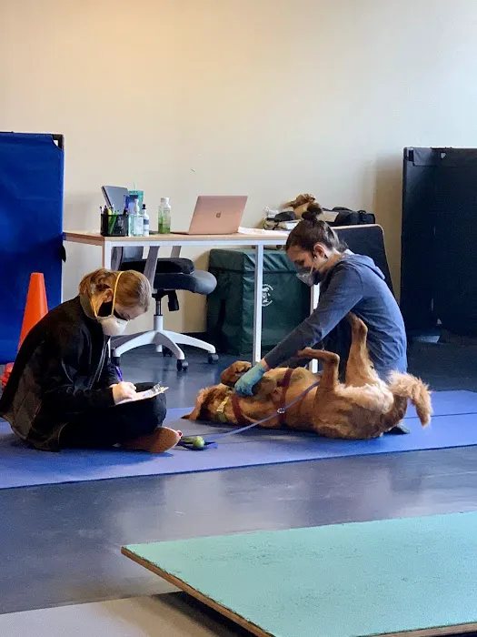 Integrative Pet Care Picture 9
