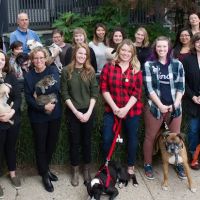 Animal Medical Center of Chicago ico