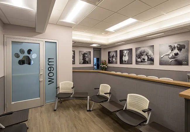 VCA Blum Animal Hospital Picture 1