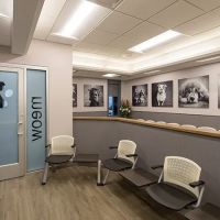 VCA Blum Animal Hospital ico