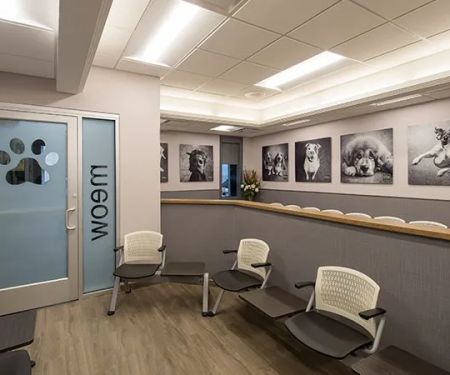 VCA Blum Animal Hospital