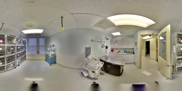 VCA Blum Animal Hospital Picture 3