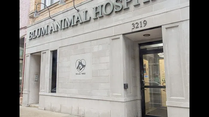 VCA Blum Animal Hospital Picture 2