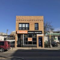 Belmont Animal Hospital of Chicago ico