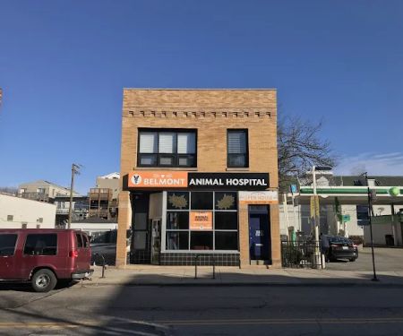 Belmont Animal Hospital of Chicago