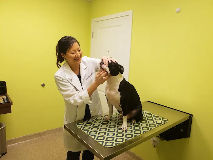 Belmont Animal Hospital of Chicago Picture 4