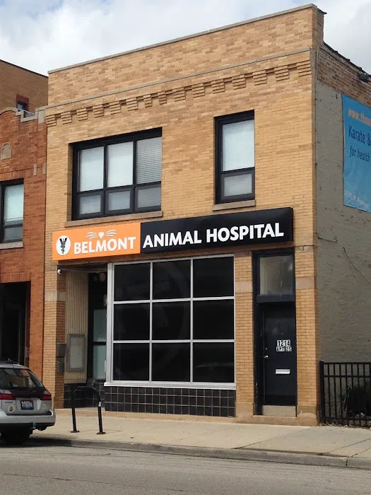 Belmont Animal Hospital of Chicago Picture 9