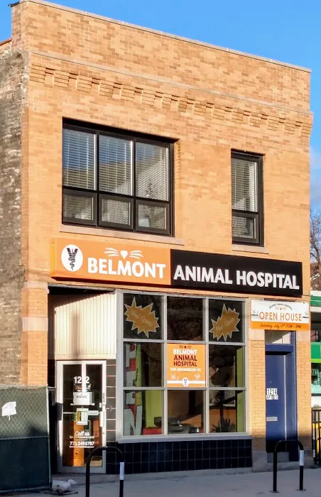 Belmont Animal Hospital of Chicago Picture 8