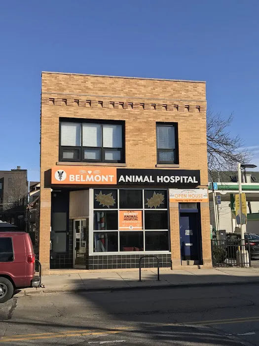 Belmont Animal Hospital of Chicago Picture 7